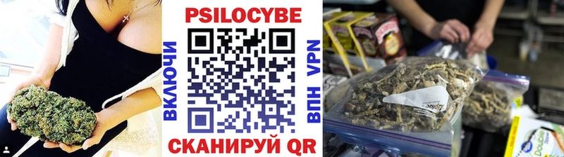Галлюциногенные грибы прущие грибы  Бор 