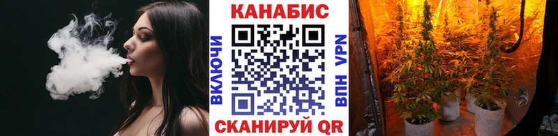 магазин продажи наркотиков  мега tor  Бошки марихуана гибрид  Бор 
